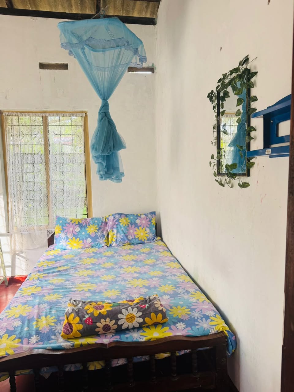 Single room for rent -for a lady 