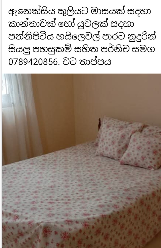 Annex to rent near Highlevel road