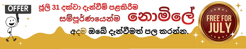 Promo Banner